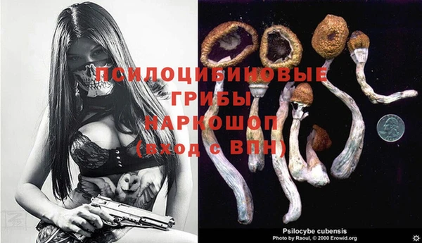 мяу мяу мука Армянск