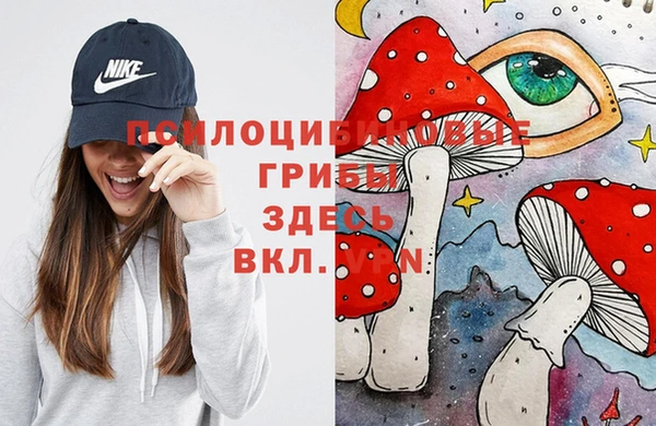 мяу мяу мука Армянск