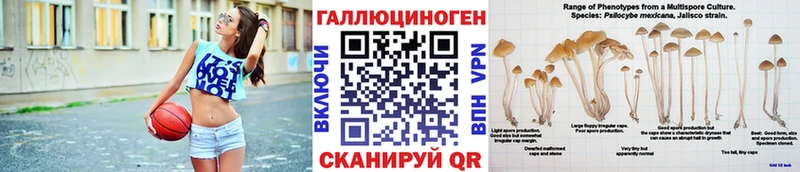 Галлюциногенные грибы Psilocybe  купить наркотик  Сосновоборск 